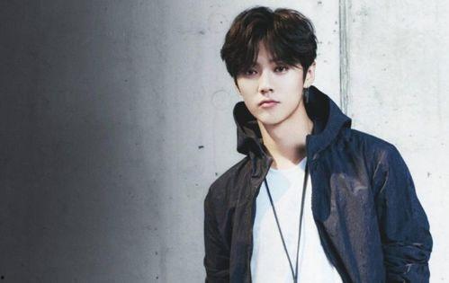 思聪爆料鹿晗视频大全最新,思聪爆料引发网友热议，精彩瞬间大盘点